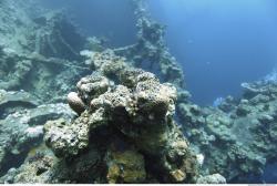 Photo Reference of Umbria Wingate Reef - Sudan